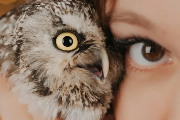 Casino MR Fortune Kundeservice